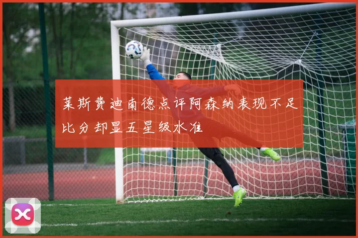莱斯费迪南德点评阿森纳表现不足比分却显五星级水准